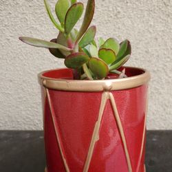 Very Cute Drum Decorated Planter With Kalanchoe Plant