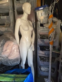 Manikin
