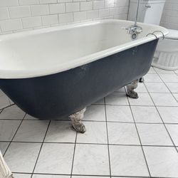 Antique Bathtub for Sale