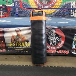 Punching Bag 