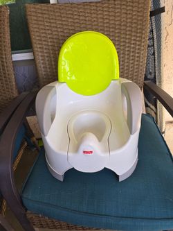 Toddler Potty Chair