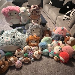 A lot of Squishmallows