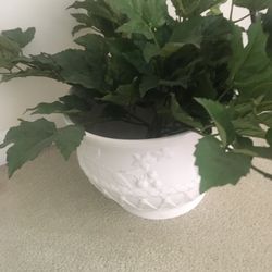 New Ceramic Pot From Pikes 