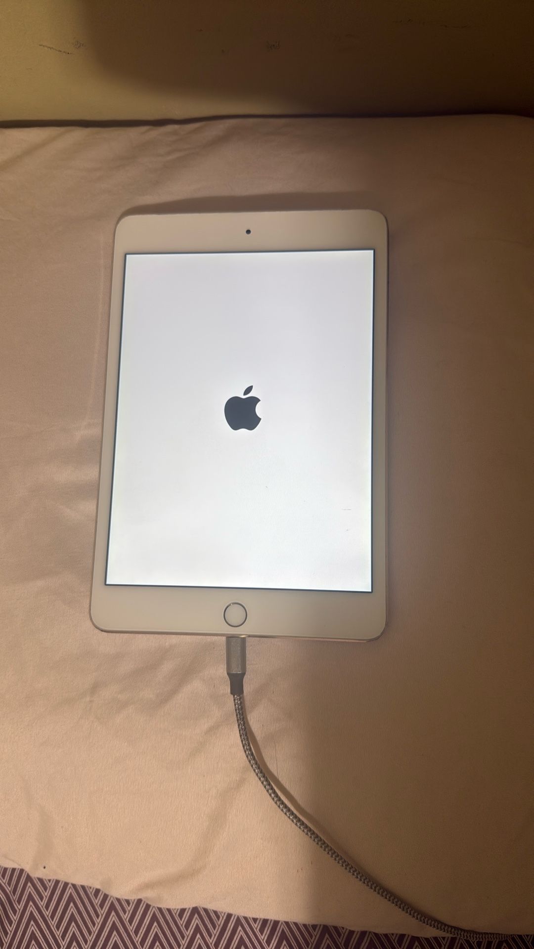 iPad Mini