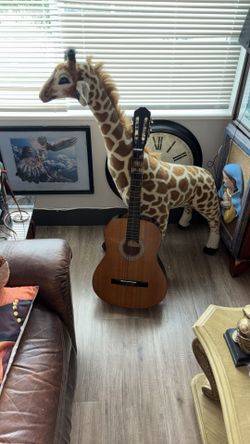 Guitara $60