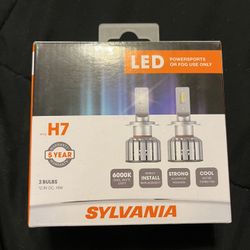 H7 LED Bulbs