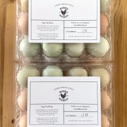 Fresh Eggs