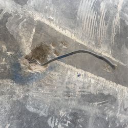 Electrical Wire Removal