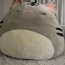 Squishmellow Plushie Pillow Cat
