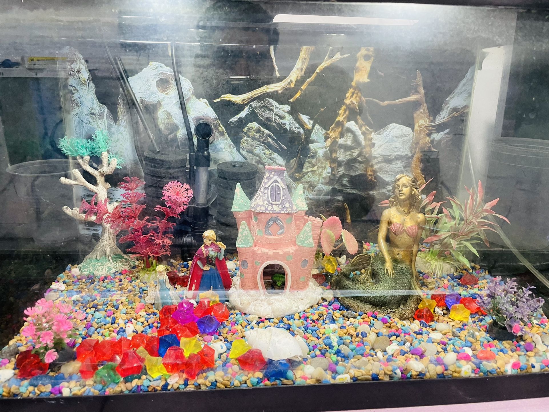 Fish Tank