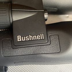 Bushnell