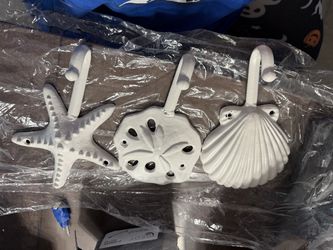 Seashell hooks