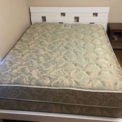 Sealy Queen Mattress