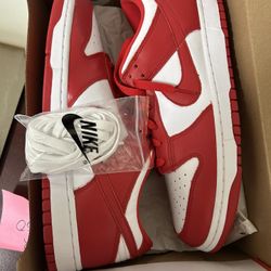 Size 12 Nike Dunk Low SP