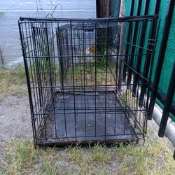 Dog Carrier Cages 