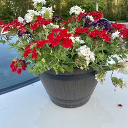 Hanging Baskets And Flower Pots 