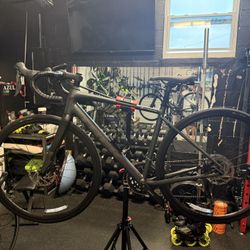 2024 Trek Domane Road Bike!! 52cm