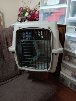 Airline approved kennel 26Lx18Wx18T