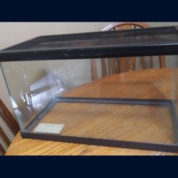 10 Gallon Terrarium With Lid