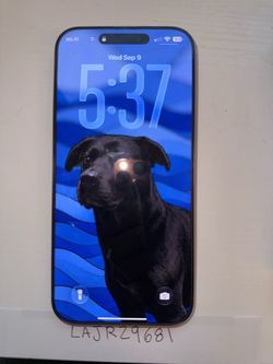 iPhone 16 Pro Max 256GB Unlocked Perfect Condition