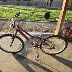 Giant Boulder Pre-teen Girls Bicycle
