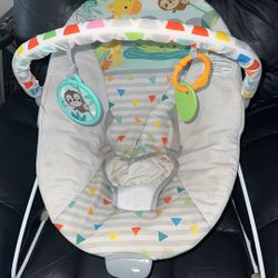 Baby Bouncer