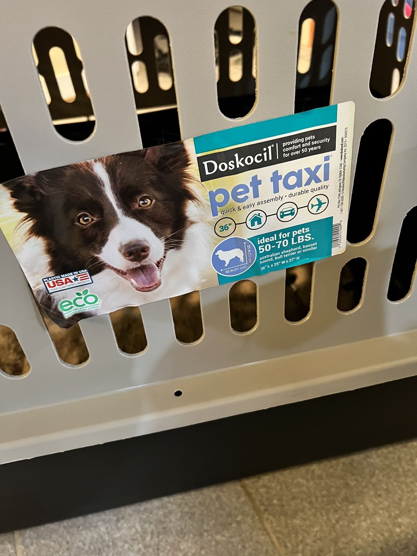 Pet Taxi