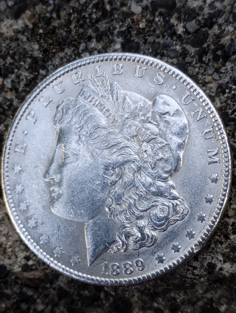 Morgan Silver Dollar