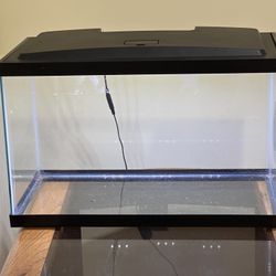 Fish Tank