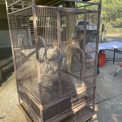 Free Bird Cage