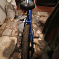ElectricBike