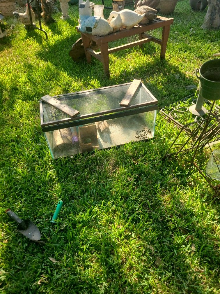 Fish/animal Aquarium