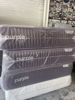 New King Or Queen Purple Rejuvenate LUXE