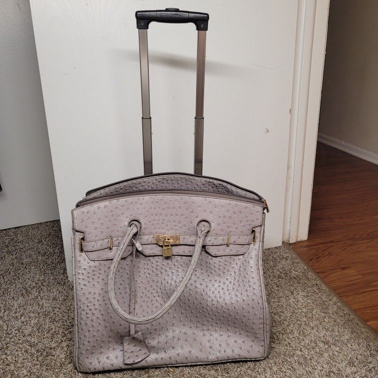 luggage bag/purse 