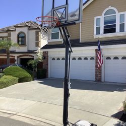 Lifetime Basketball Hoop