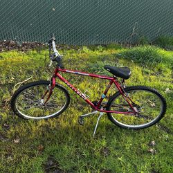 Thunder Mountain bike