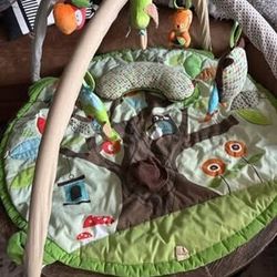 Skip Hop Activity Mat