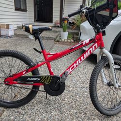 Schwinn Koen 20 Bike