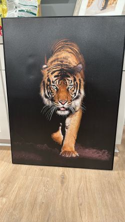 Tiger Wall Canvus