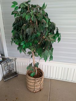 Artificial Ficus tree, lighted in basket