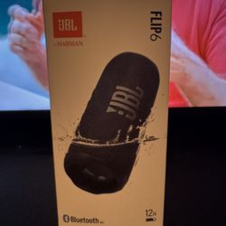 JBL Flip 6