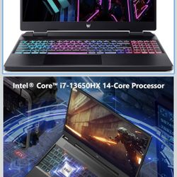 Predator Gaming Laptop