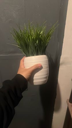 Artificial Plant 