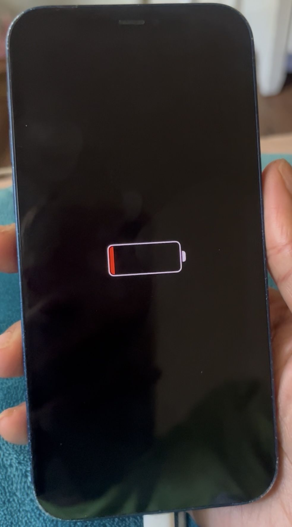 iPhone 12 blue
