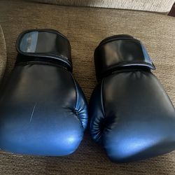 Liberlupus Boxing Gloves