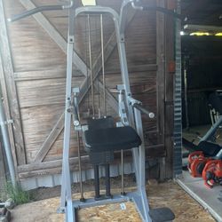 Precor Assisted Pull Up And Dip Machine Commercial 