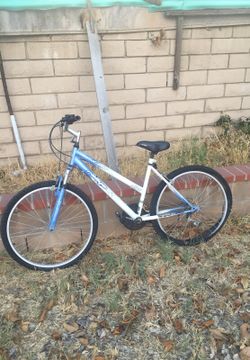 Mountain bike