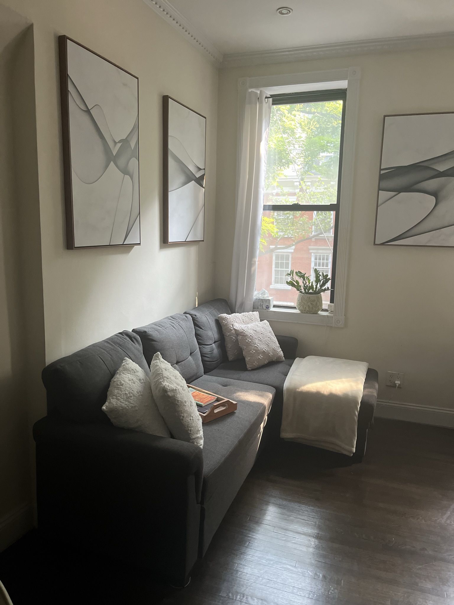 Pull Out Couch
