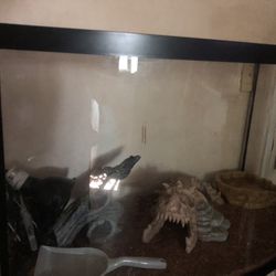 Reptile / Fish Tank 