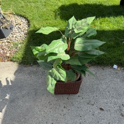 Artificial Plant 